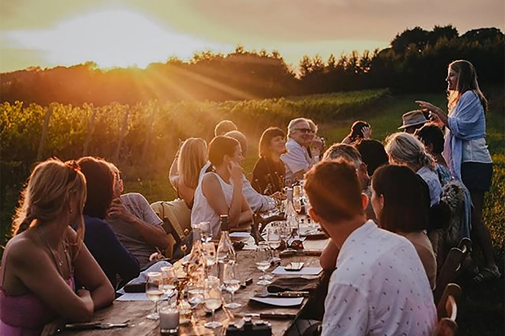A Few Moments from<br>our Vineyard Feast