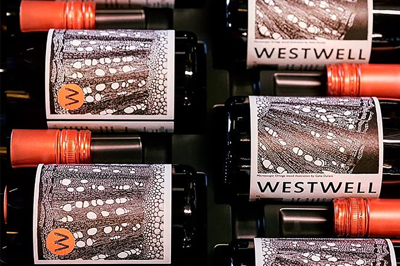 August Wine Focus<br>and Harvest Update