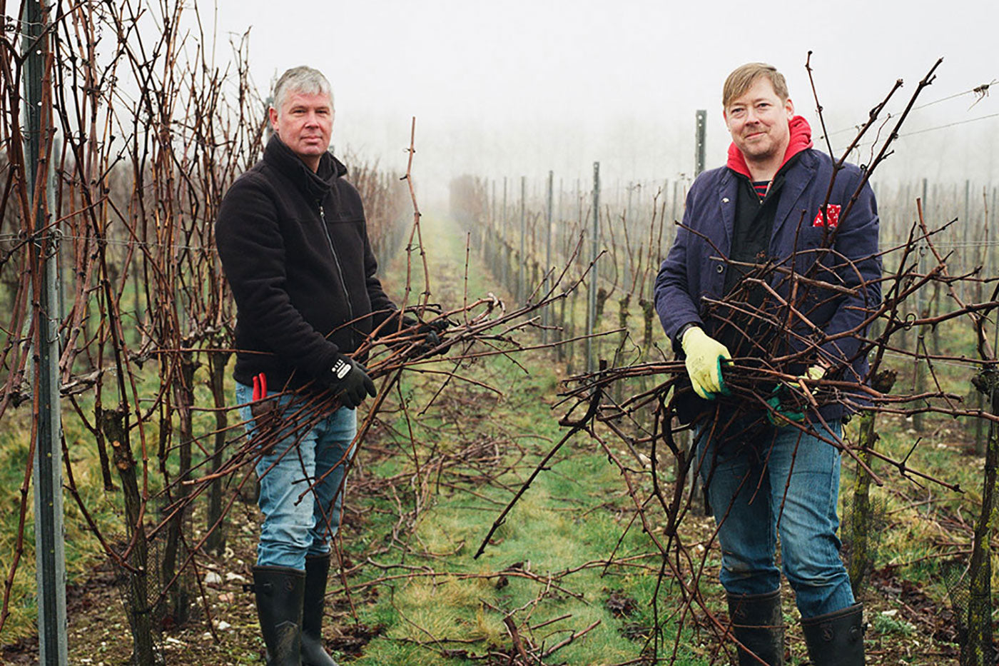 Pruning in an <br>English Vineyard