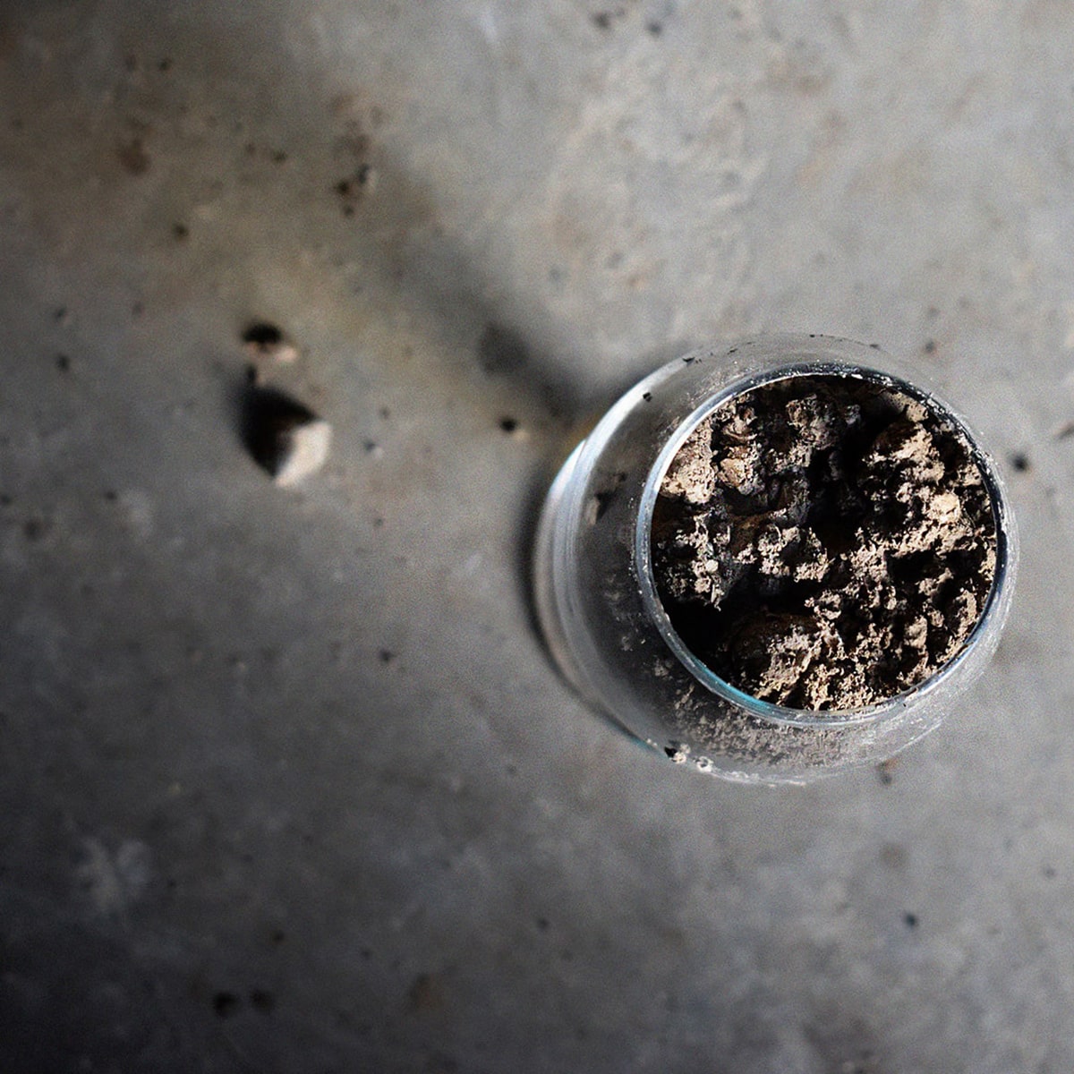 Our Soil at Westwell