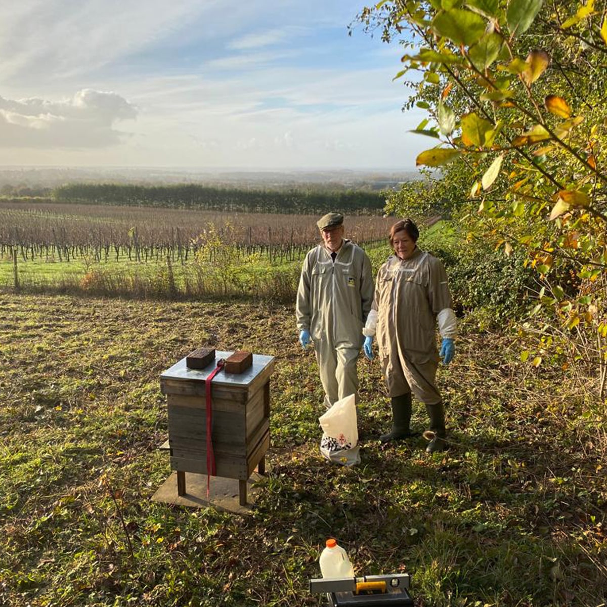 Our First Vineyard Beehive