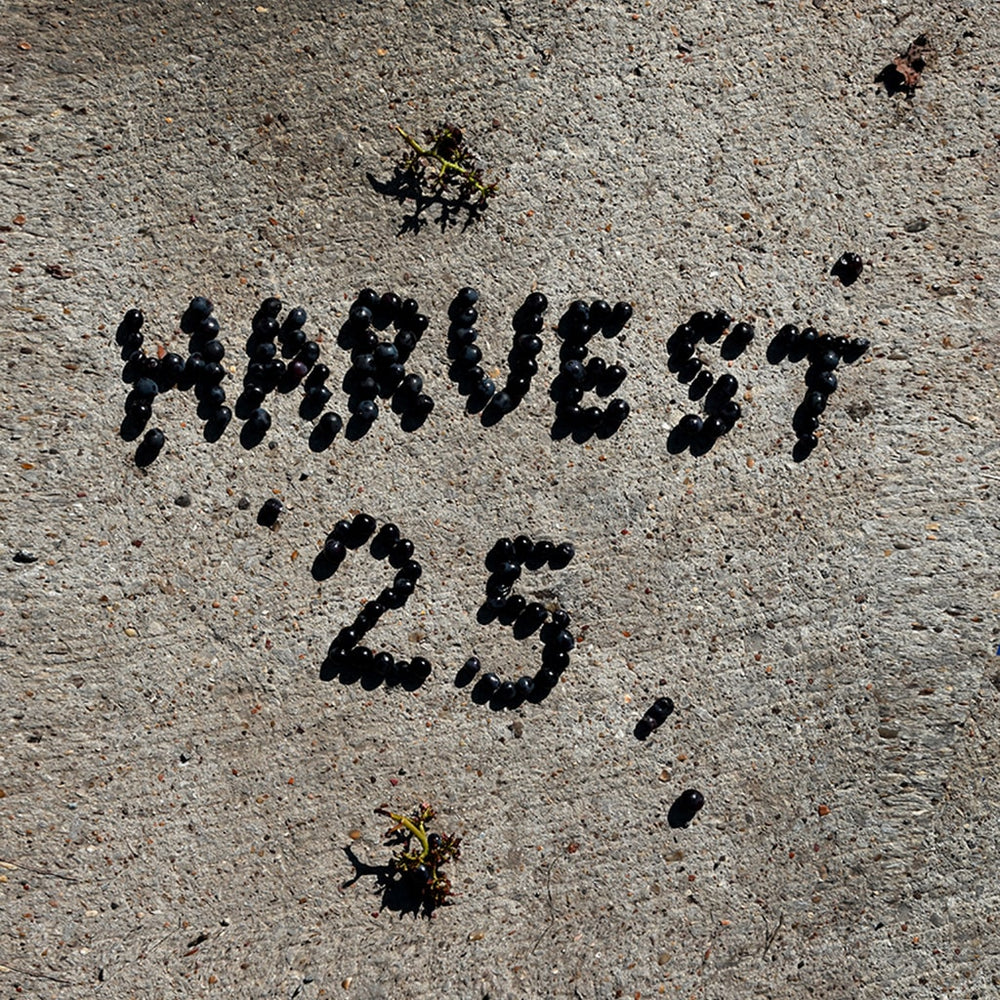Harvest 2025