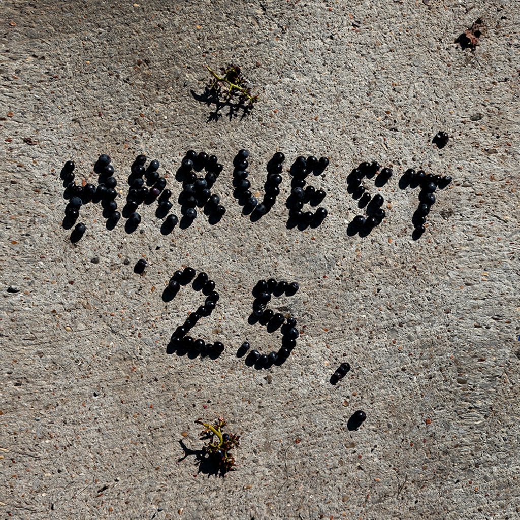 Harvest 2025