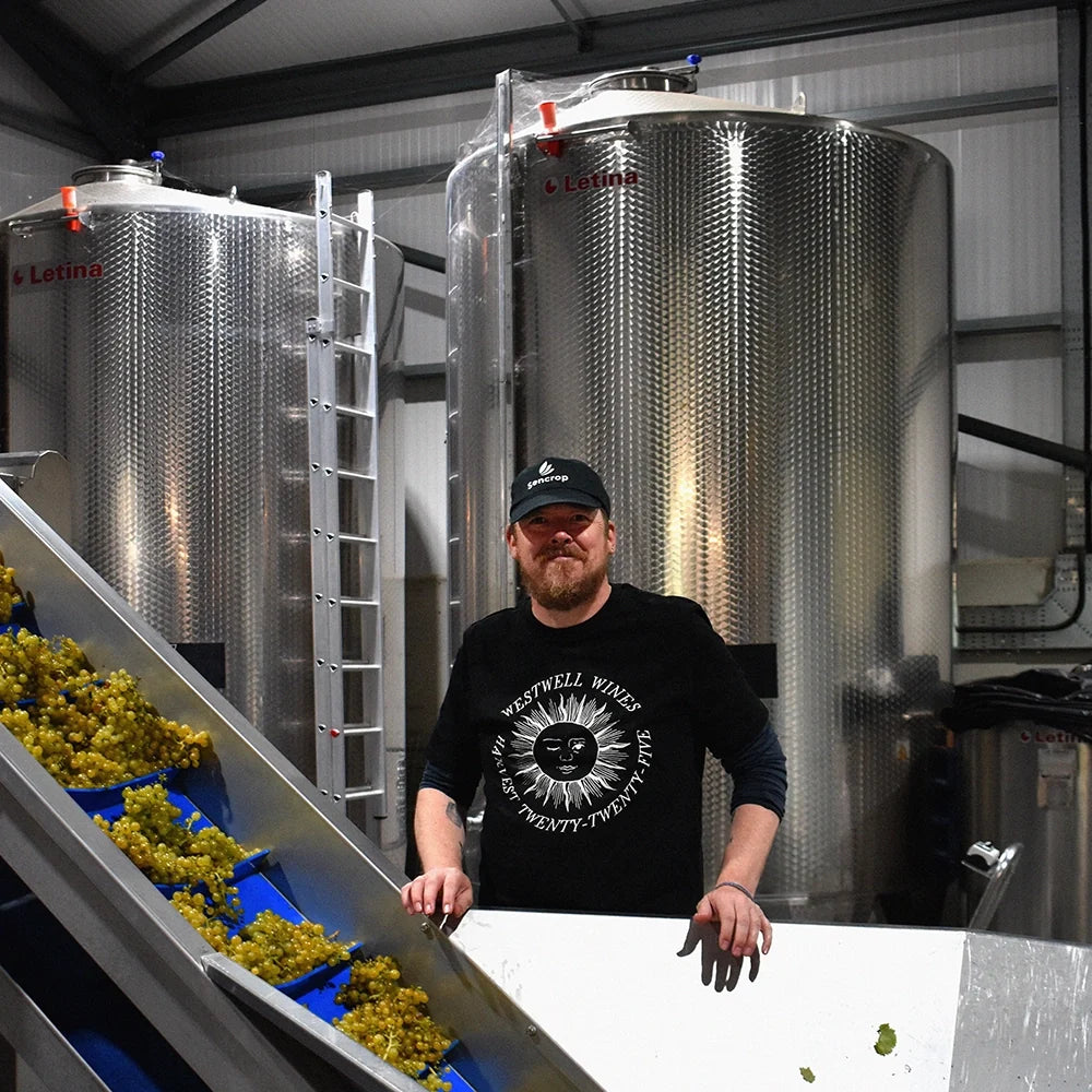 Making Orange Wine at Westwell