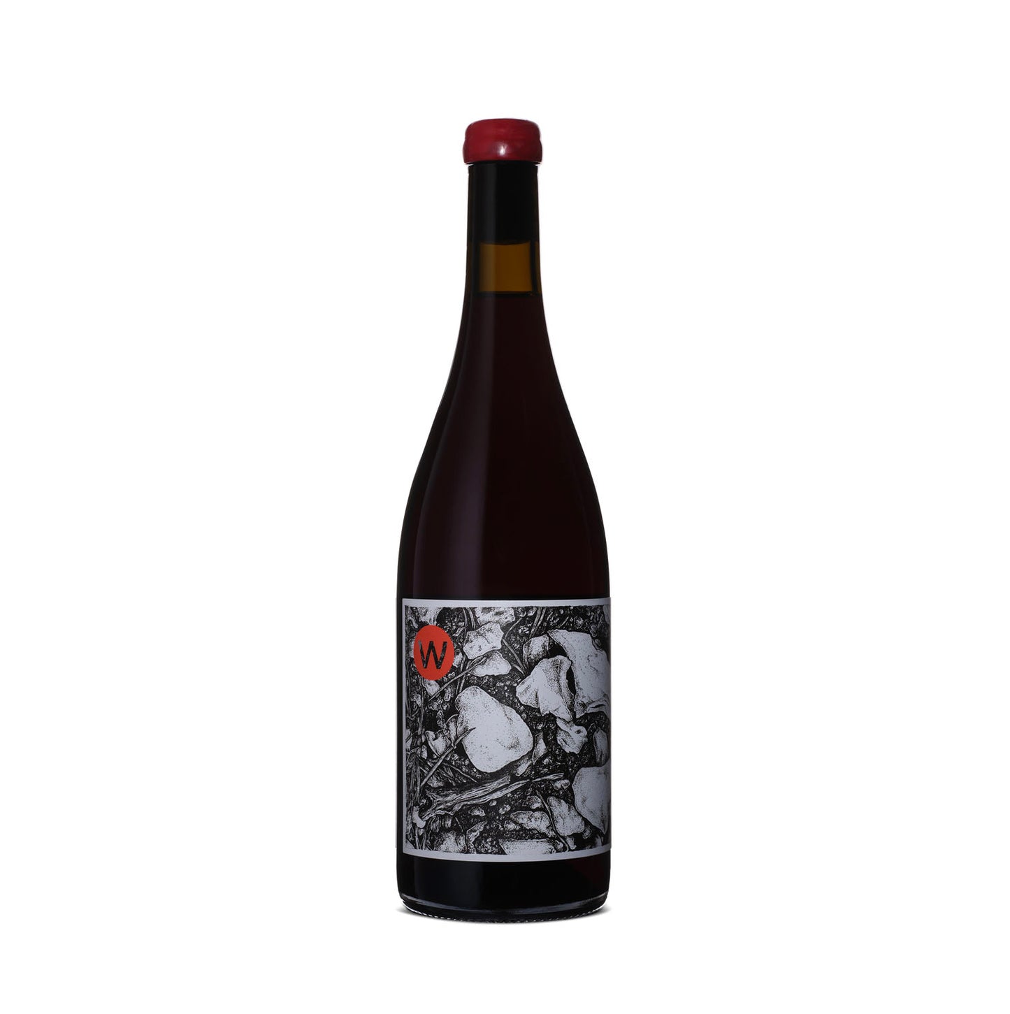 
                  
                    Pinot Noir 2023
                  
                
