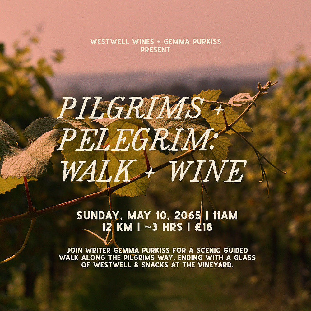 Pilgrims and Pelegrim: a 12KM Walk + Wine