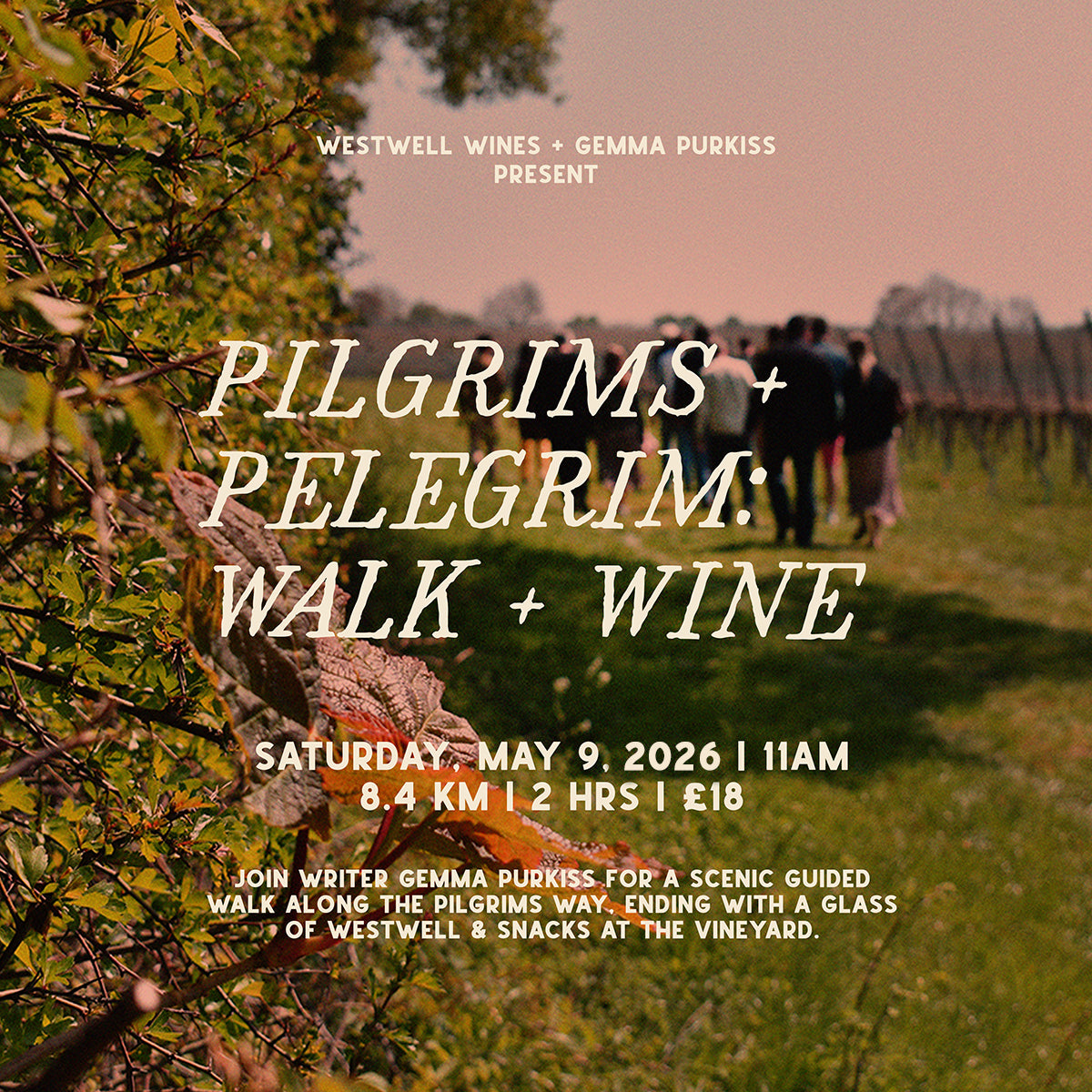 Pilgrims and Pelegrim: an 8.4km Walk + Wine