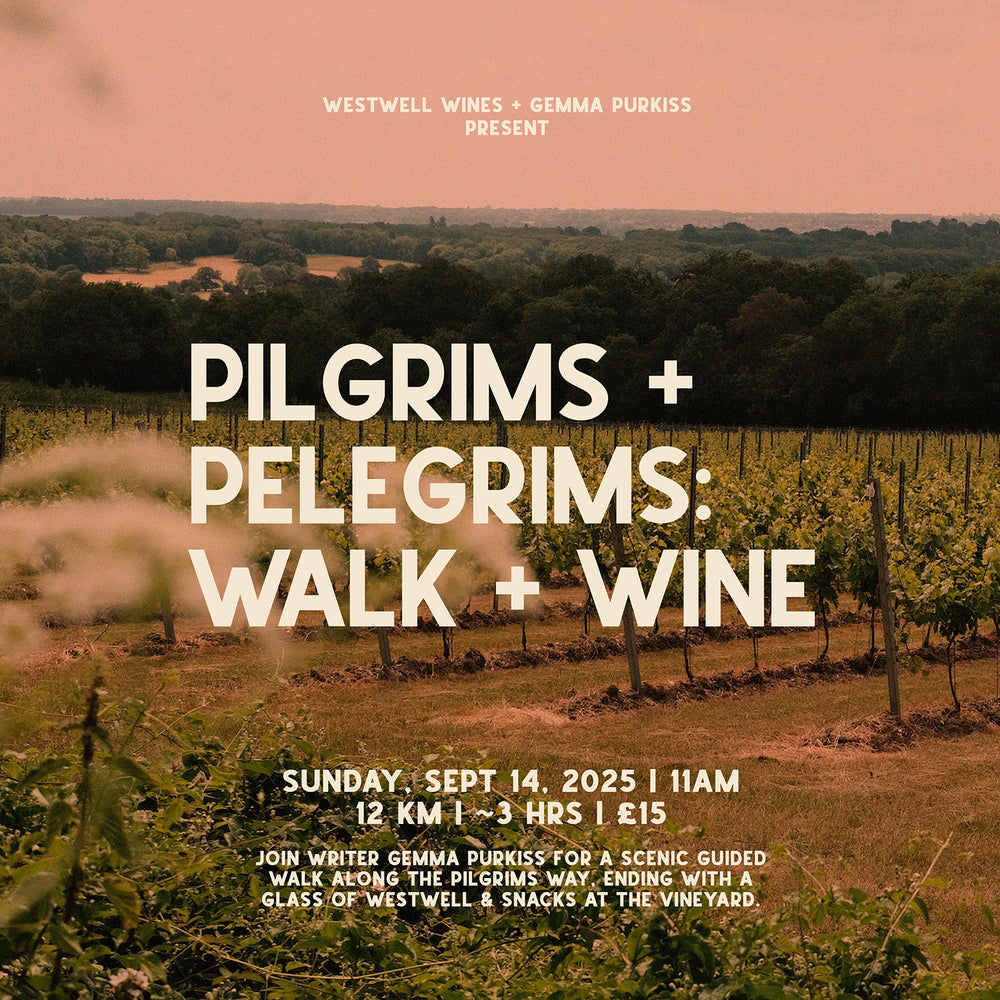 Pilgrims + Pelegrims: Walk and Wine | Sunday, September 14