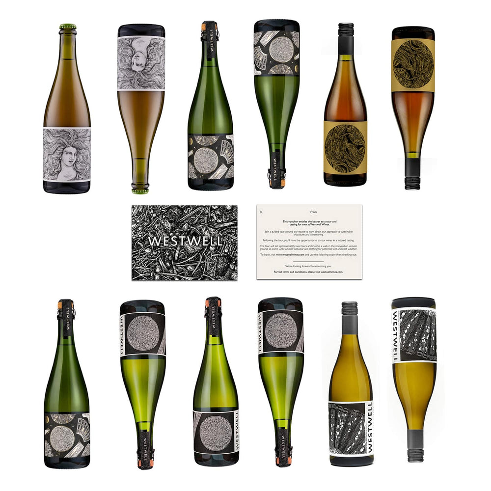 Big Christmas Case: The Ultimate Westwell Christmas