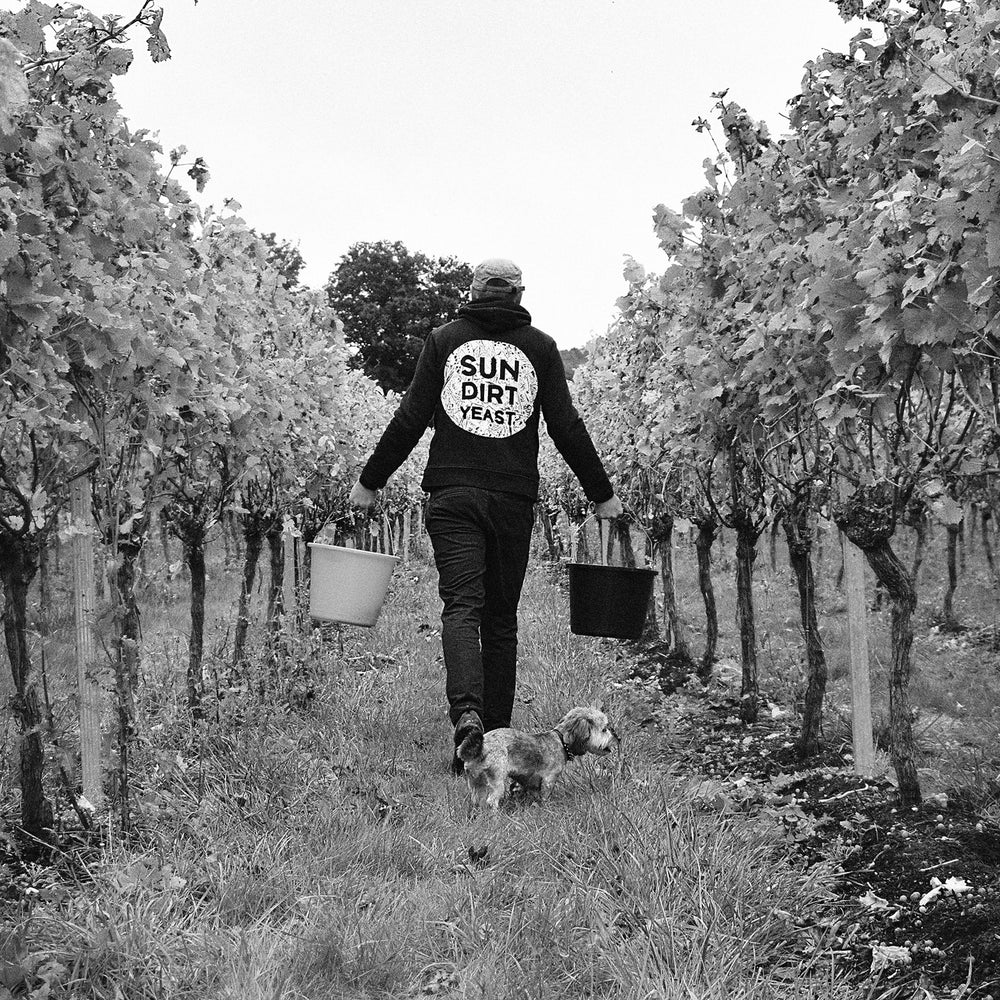 Westwell Wine Estates