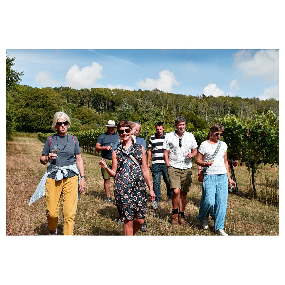 Tour & Tasting