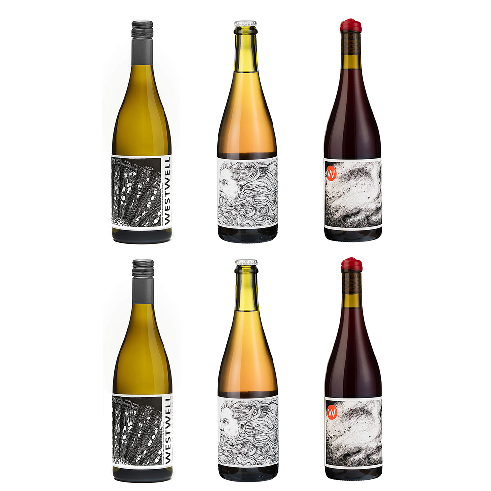 2022 New Releases Case